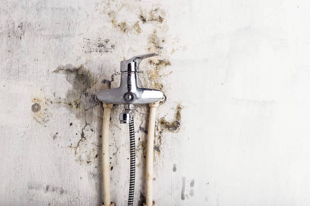 Best Mold Cleaning Services  in Highspire, PA