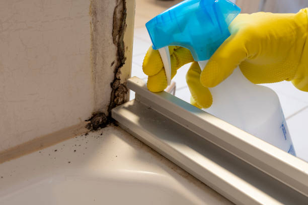 Best Mold Cleaning Services  in Highspire, PA