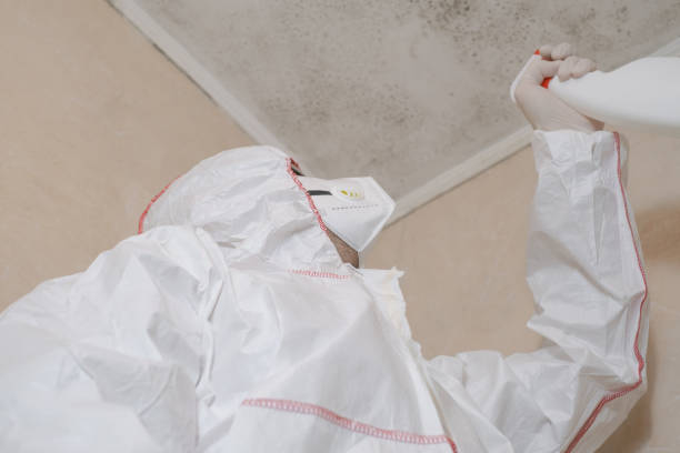 Best Certified Mold Removal  in Highspire, PA