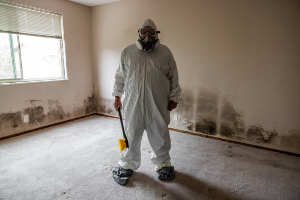 Best Crawl Space Mold Removal  in Highspire, PA